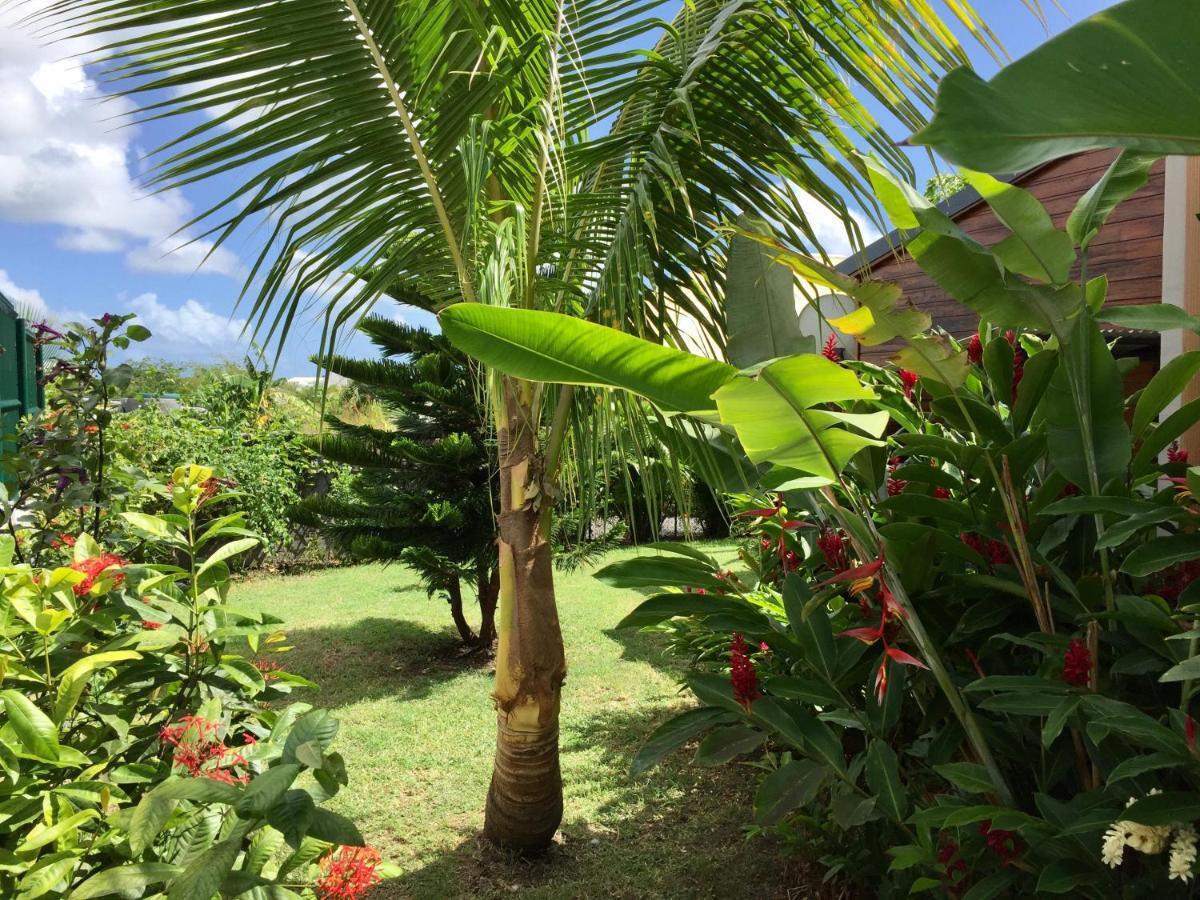 Villa Saphir B & B Sainte-Anne  Bagian luar foto